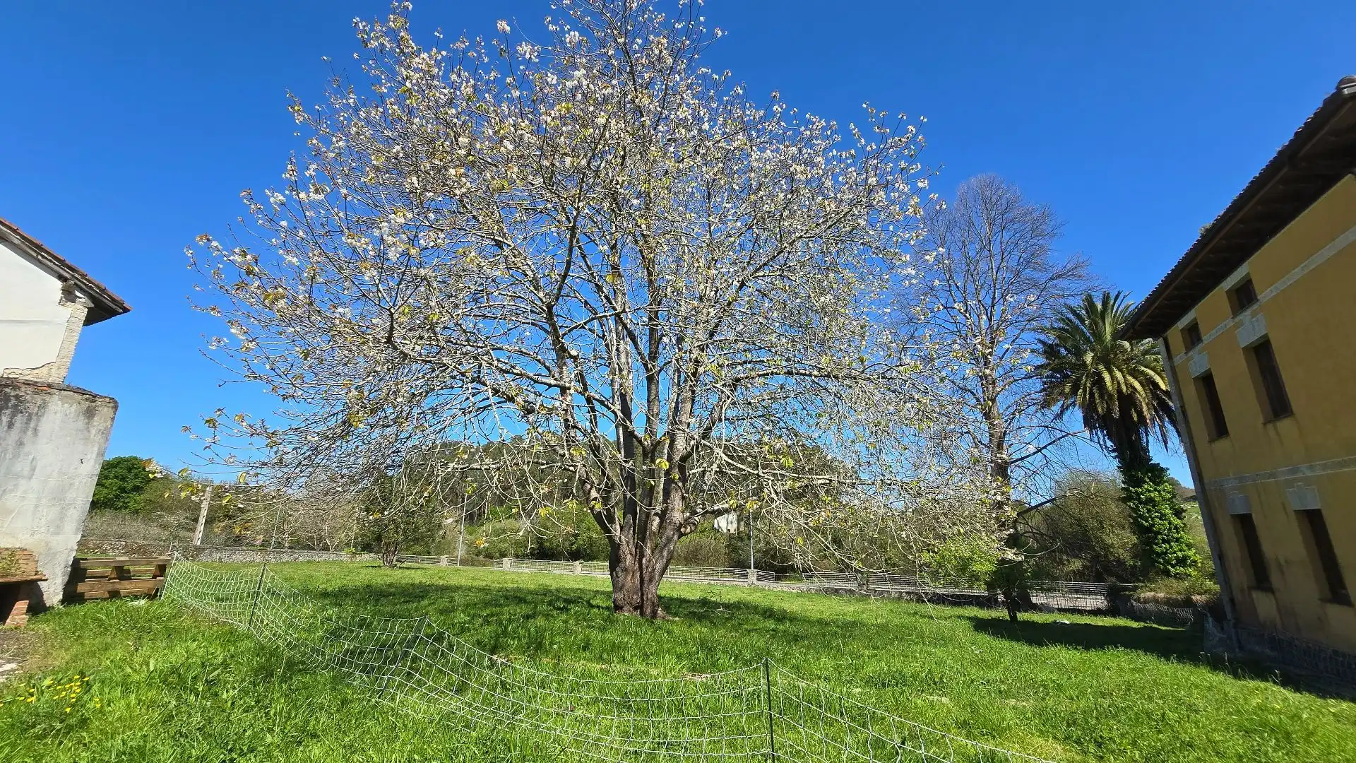 Detached house with garden for sale in Vidiago - Pendueles - Tresgrandas, imagen 88