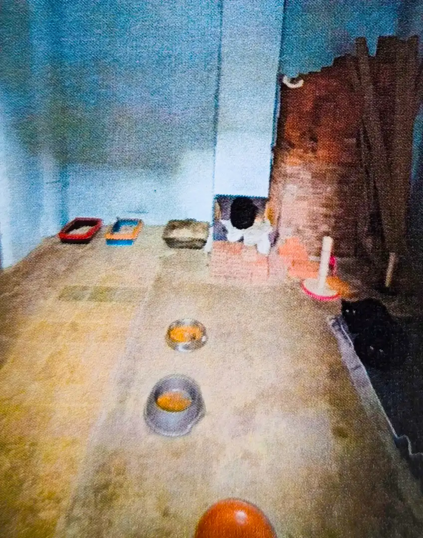 Terreni e lotti in vendita a Calle Soria 13, imagen 15