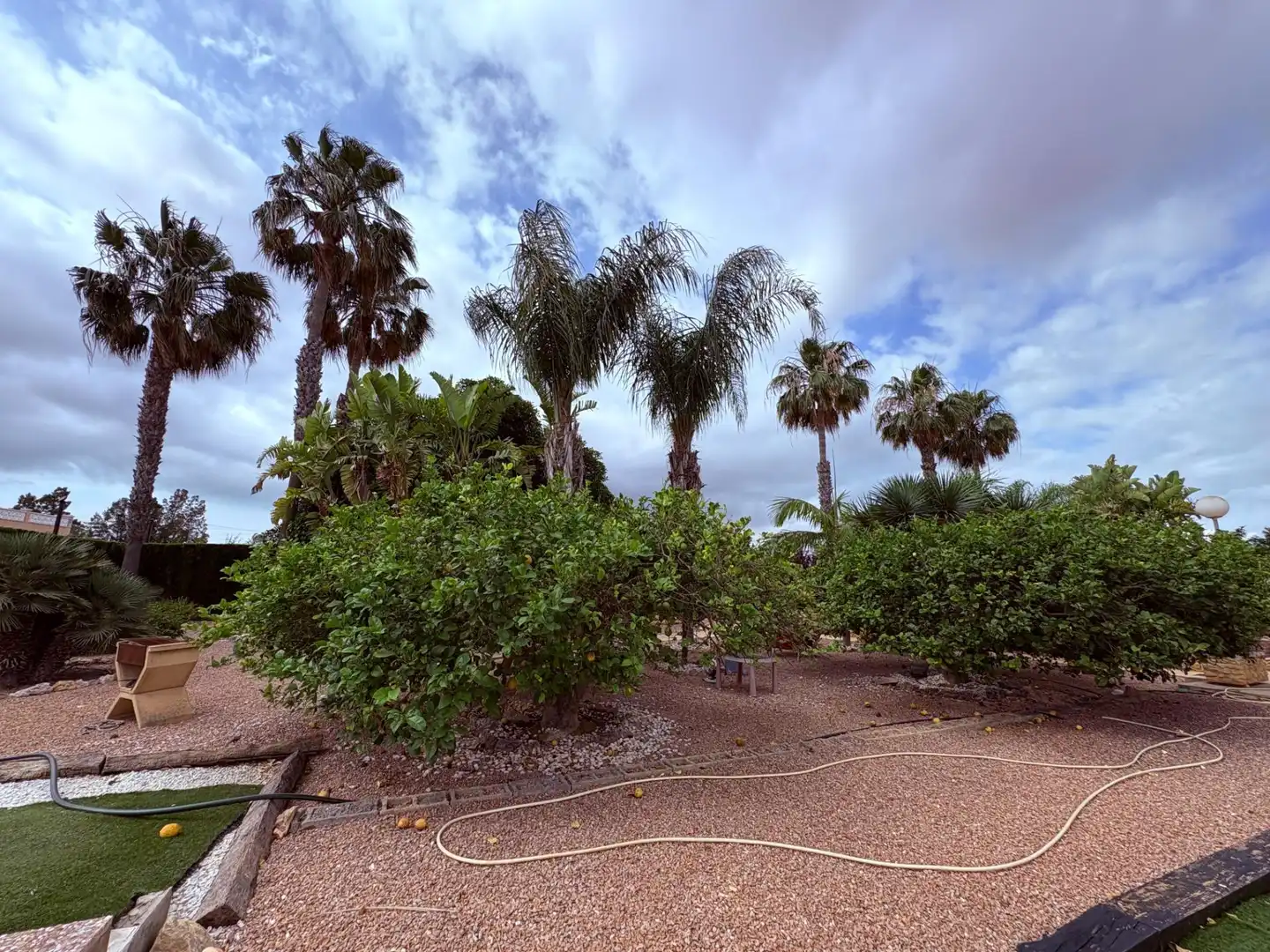 Garden of Houses for sale in Elche / Elx  with Swimming Pool