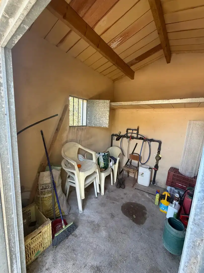 Rural land for sale in Pego, imagen 7