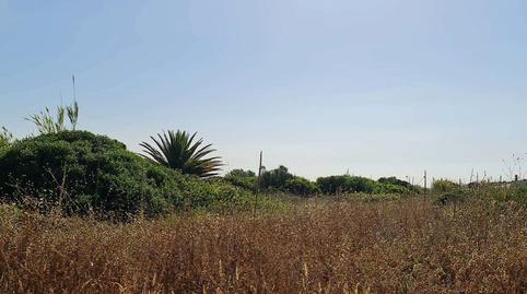 Photo 5 of Residential for sale in Dehesa del Acebuchal, 14, El Rinconcillo, Cádiz