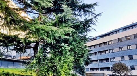 Photo 3 of Ground floor for sale in Calle las Cacharras, 1, El Astillero , Cantabria