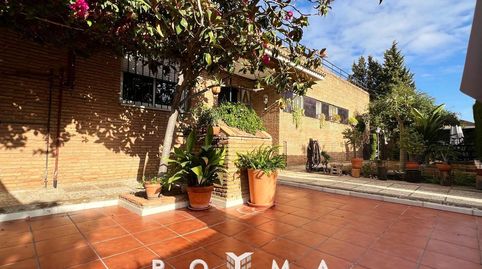 Foto 2 de Casa o chalet en venta en Torrequinto, Alcalá de Guadaira