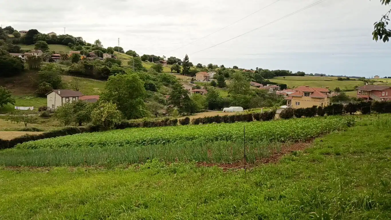 Terreny en venda en Corvera de Asturias