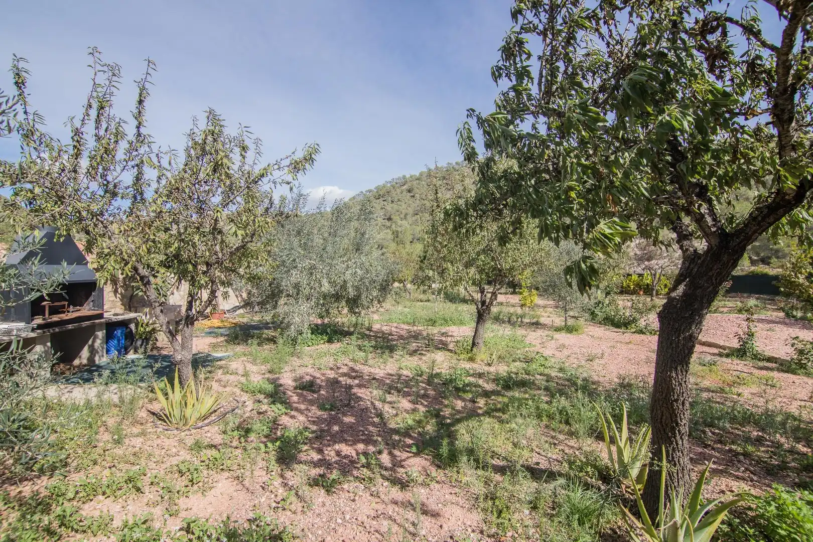 Casa o chalet en venta en Monóvar  / Monòver con Calefacción y Terraza
