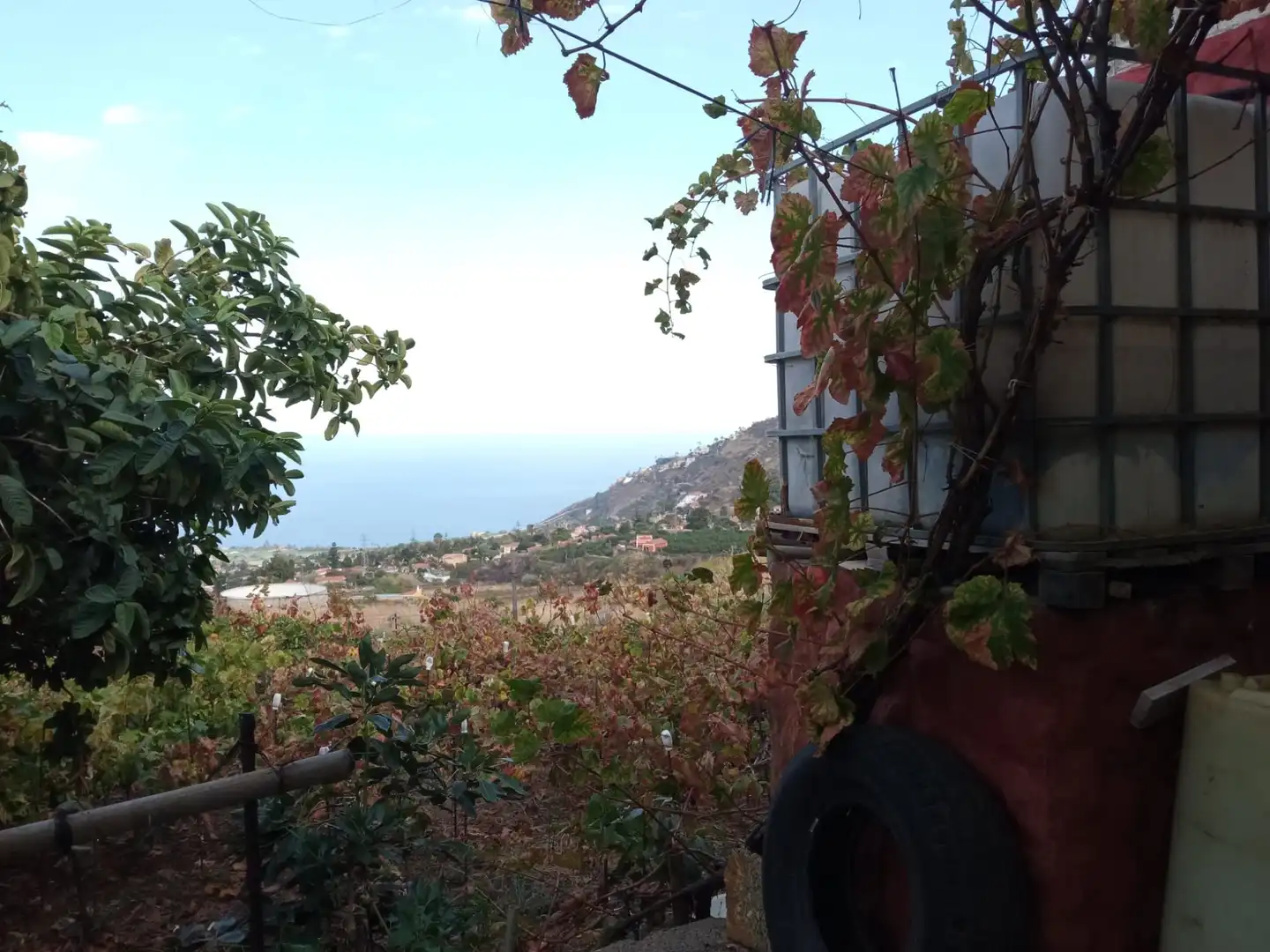 Terreno rustico in vendita a Las Cuevas - Los Gómez, imagen 7