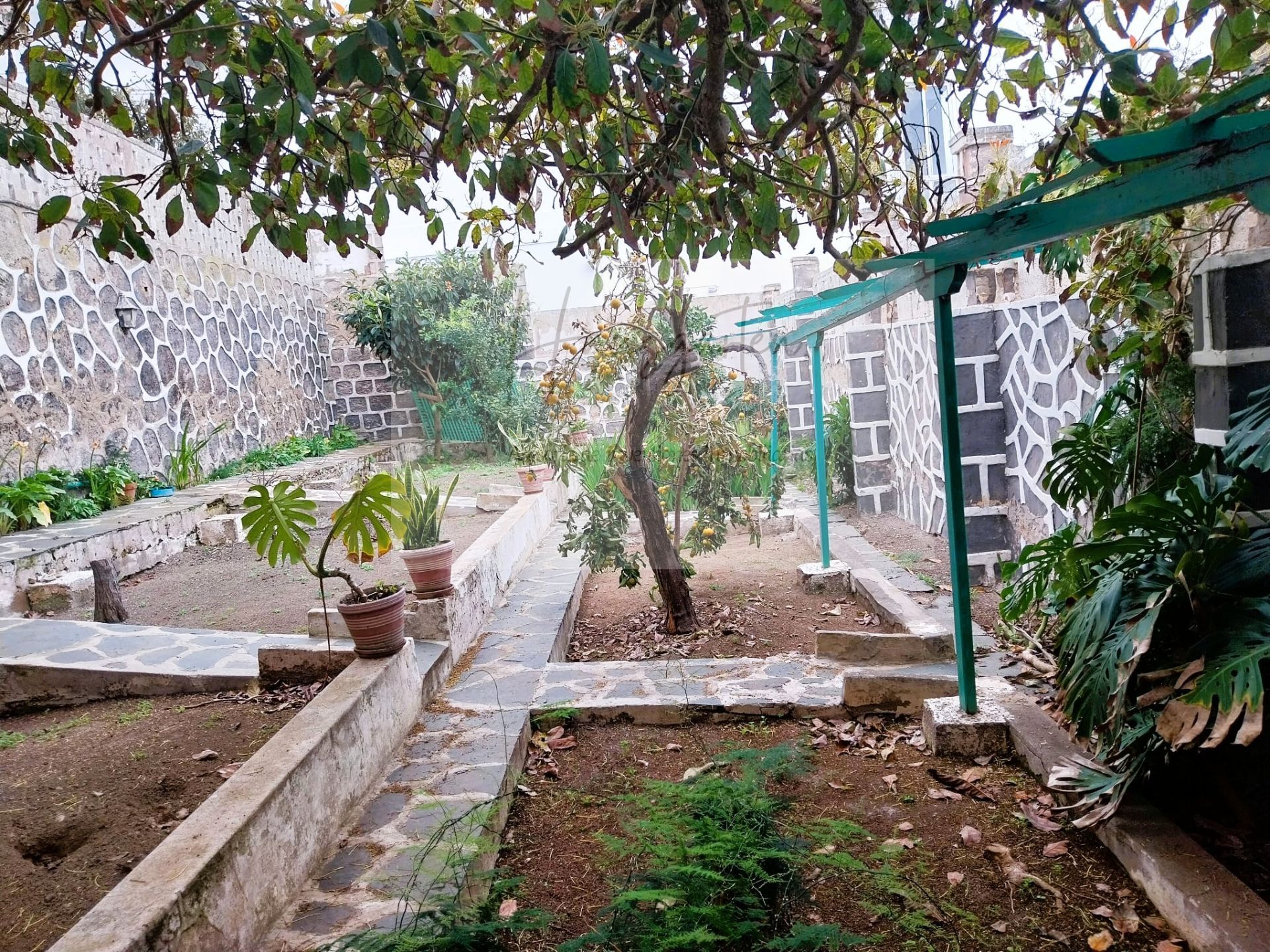 Garden of Residential for sale in Las Palmas de Gran Canaria