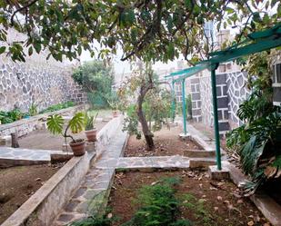 Garden of Residential for sale in Las Palmas de Gran Canaria
