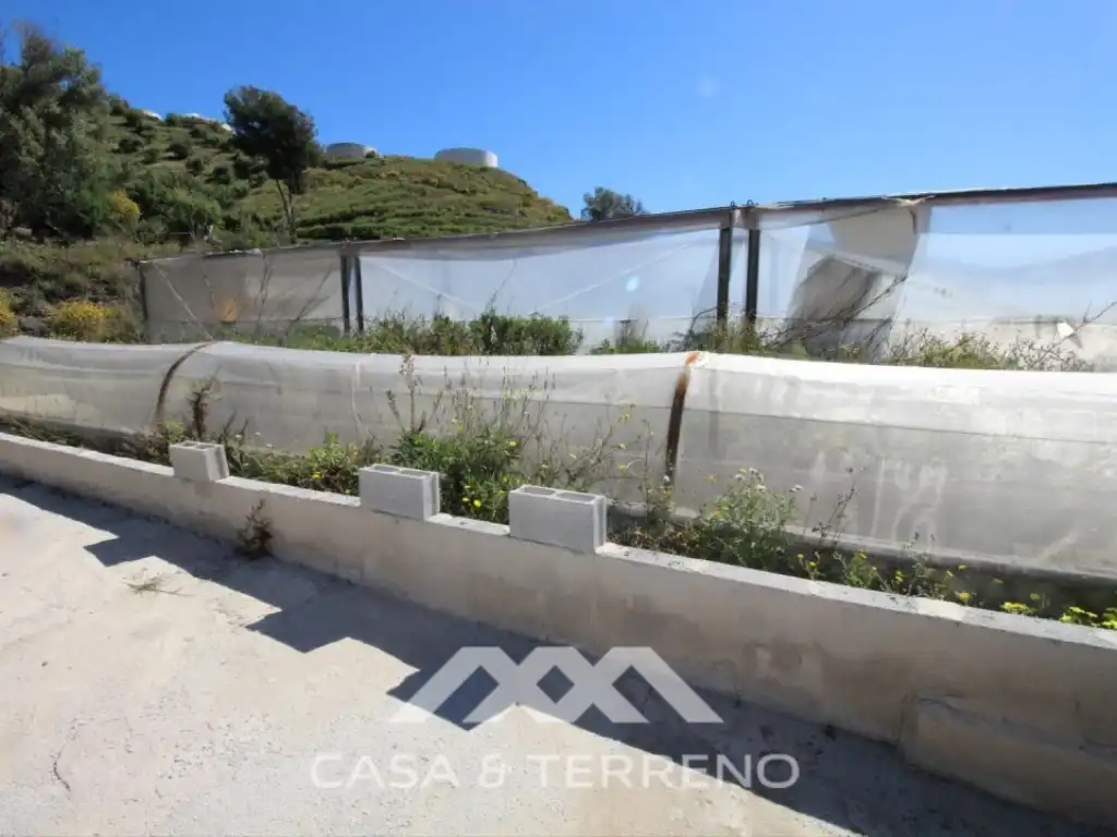 Terrace of Residential for sale in Torrox
