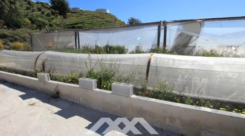 Foto 5 de Residencial en venda a Torrox Pueblo, Málaga