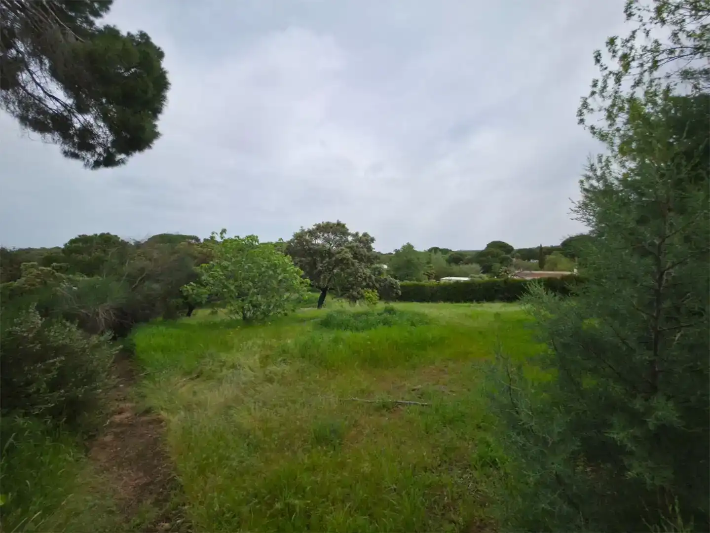 Casa o xalet en venda en Badajoz Capital amb Aire condicionat i Piscina