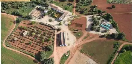 Garden of Residential for sale in Ossa de Montiel