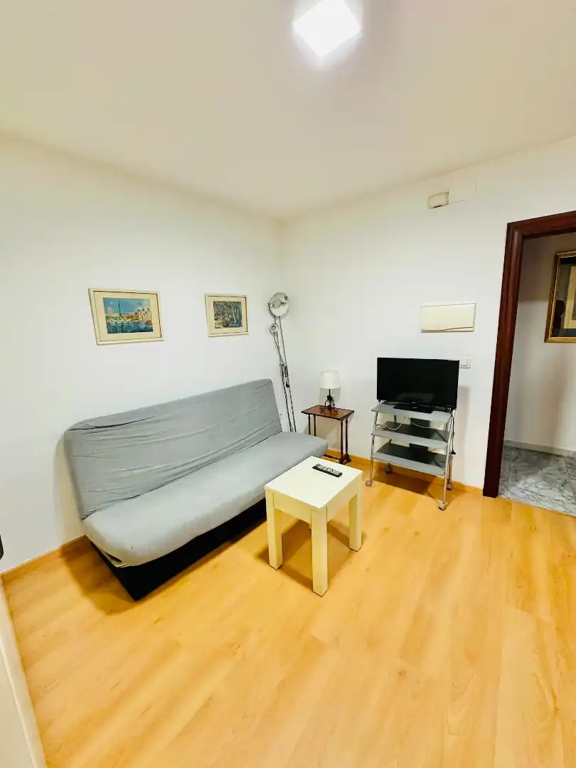 Living room of Study for rent in Granada  with Air Conditioner, Heating and Parquet flooring
