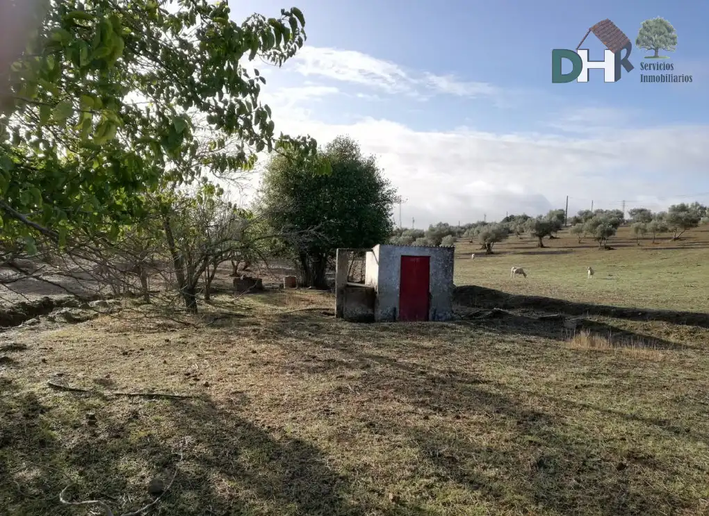 Terreni e lotti in vendita a Barcarrota, imagen 7