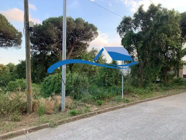 Lands and plots for sale in Carolina Coronado, imagen 8