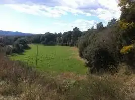 Terreno rústico en venta en Ptda Coma d´en Regàs -, imagen 8