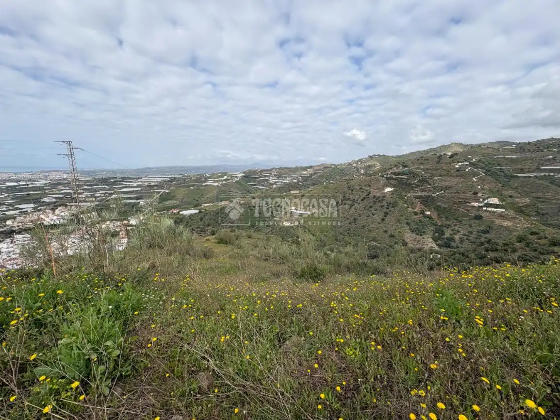 Terreny rústic en venda a Algarrobo pueblo, imagen 6