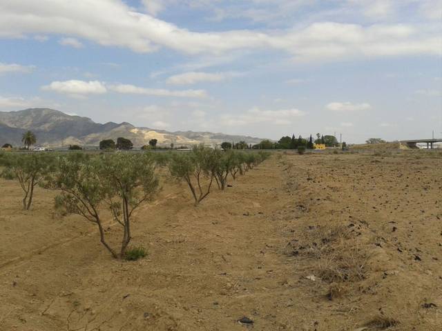 Terreno en Venta en Alhama de Murcia ciudad