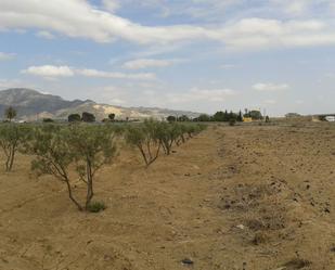 Land for sale in Alhama de Murcia