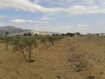 Terreny industrial en venda a Alhama de Murcia ciudad