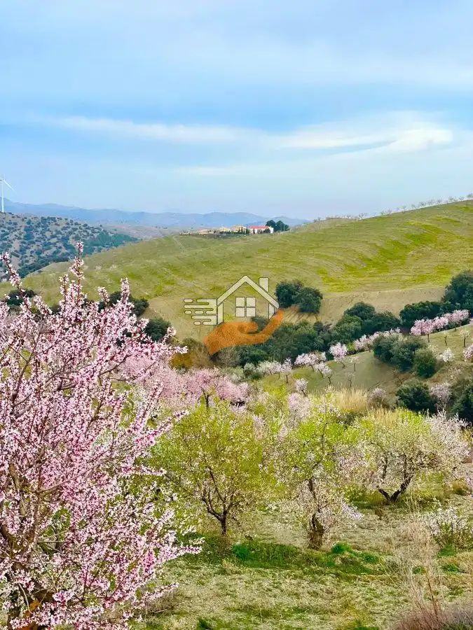 Maison rustique à vendre à Vélez-Rubio, imagen 39
