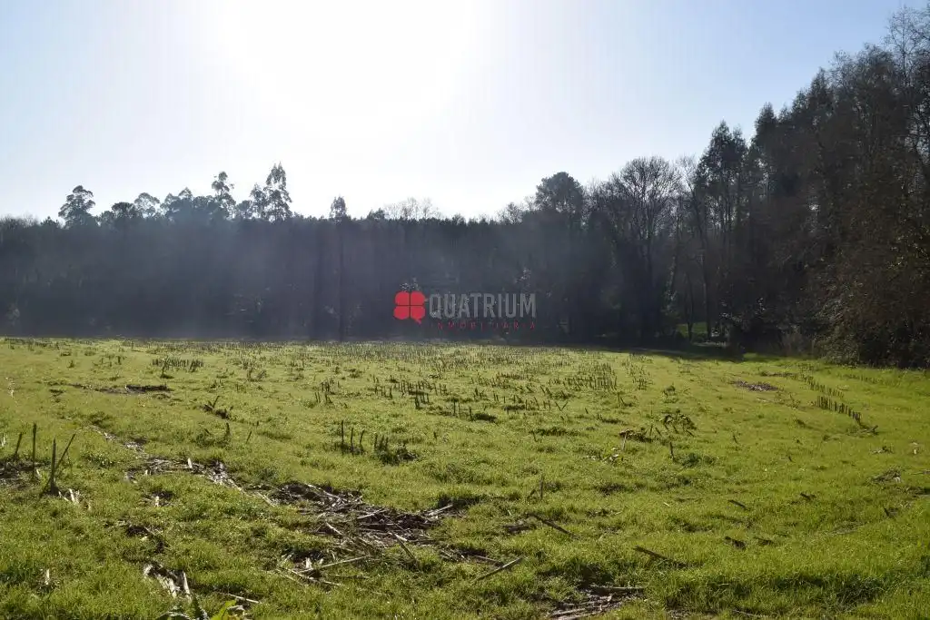 Terrains et parcelles à vendre à Teo, imagen 6