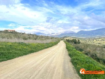 Terreny rústic en venda a Cortijo Vílches