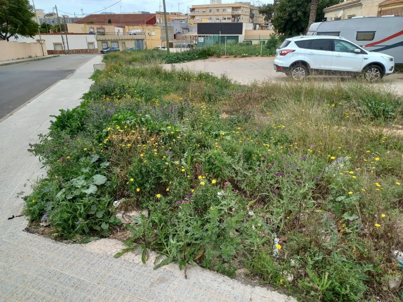 Wohnbaugrundstück zum Verkauf in Cartagena ciudad, imagen 17