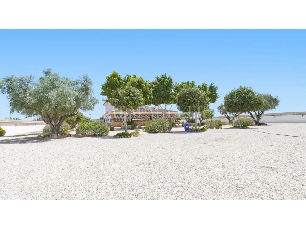 Maison avec jardin à vendre à Dolores, imagen 105