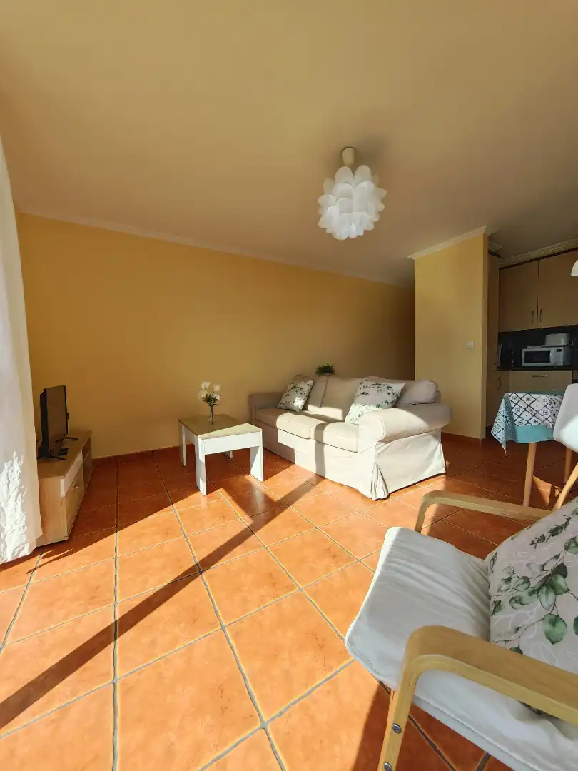 Sala d'estar de Apartament de lloguer en Fisterra amb Traster, Moblat i Forn