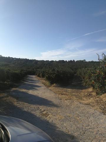 Terreno en Venta en Bellavista - Capiscol - Frank Espinós