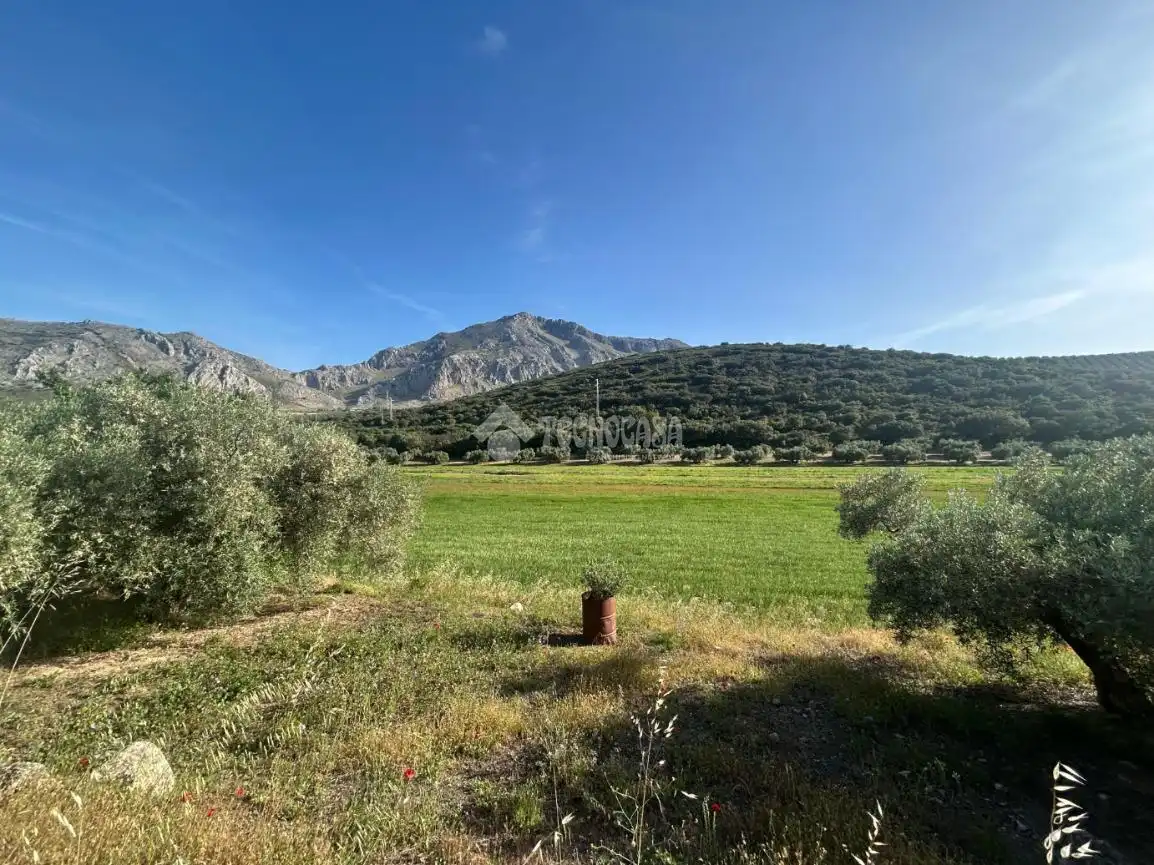 Finca rústica en venta en Antequera