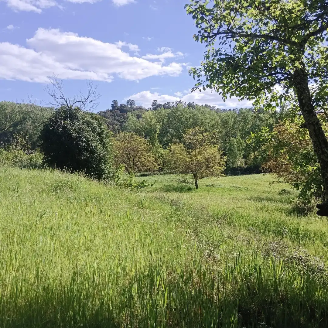 Finca rústica en venta en Castaño del Robledo