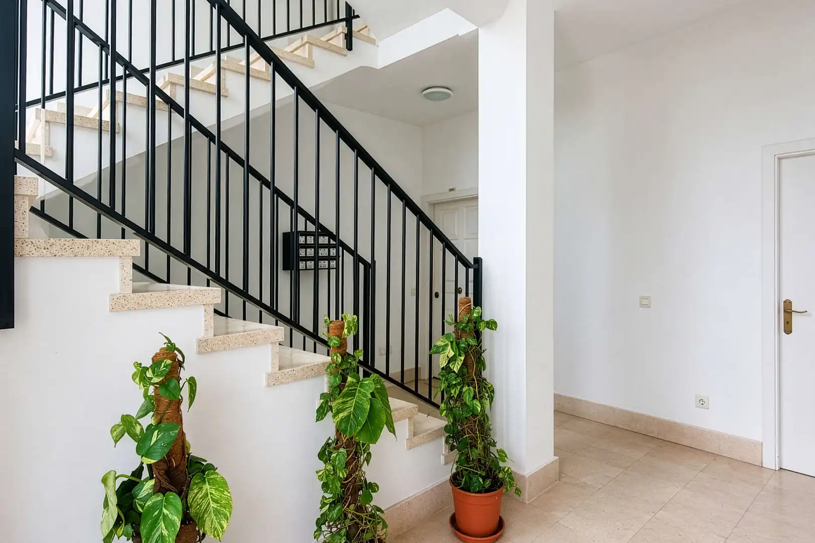Planta baixa en venda en Muro amb Moblat