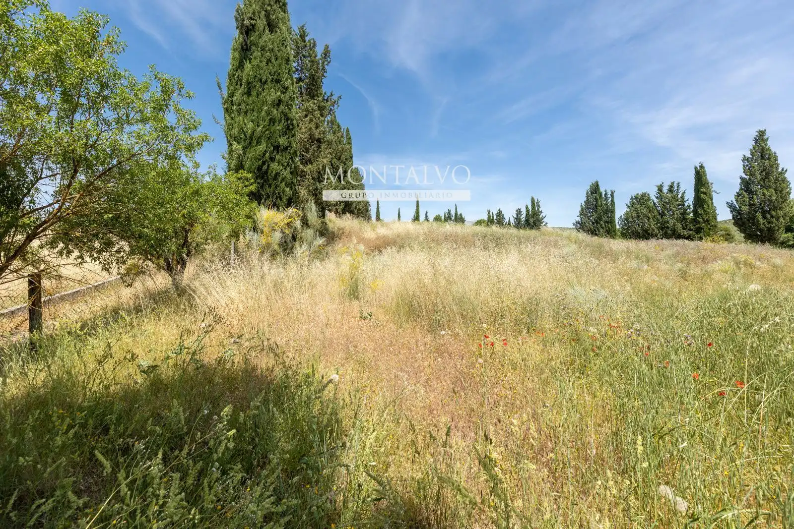 Land for sale in Pinos Puente