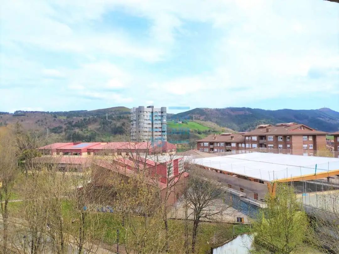 Vista exterior de Pis en venda en Errenteria amb Calefacció
