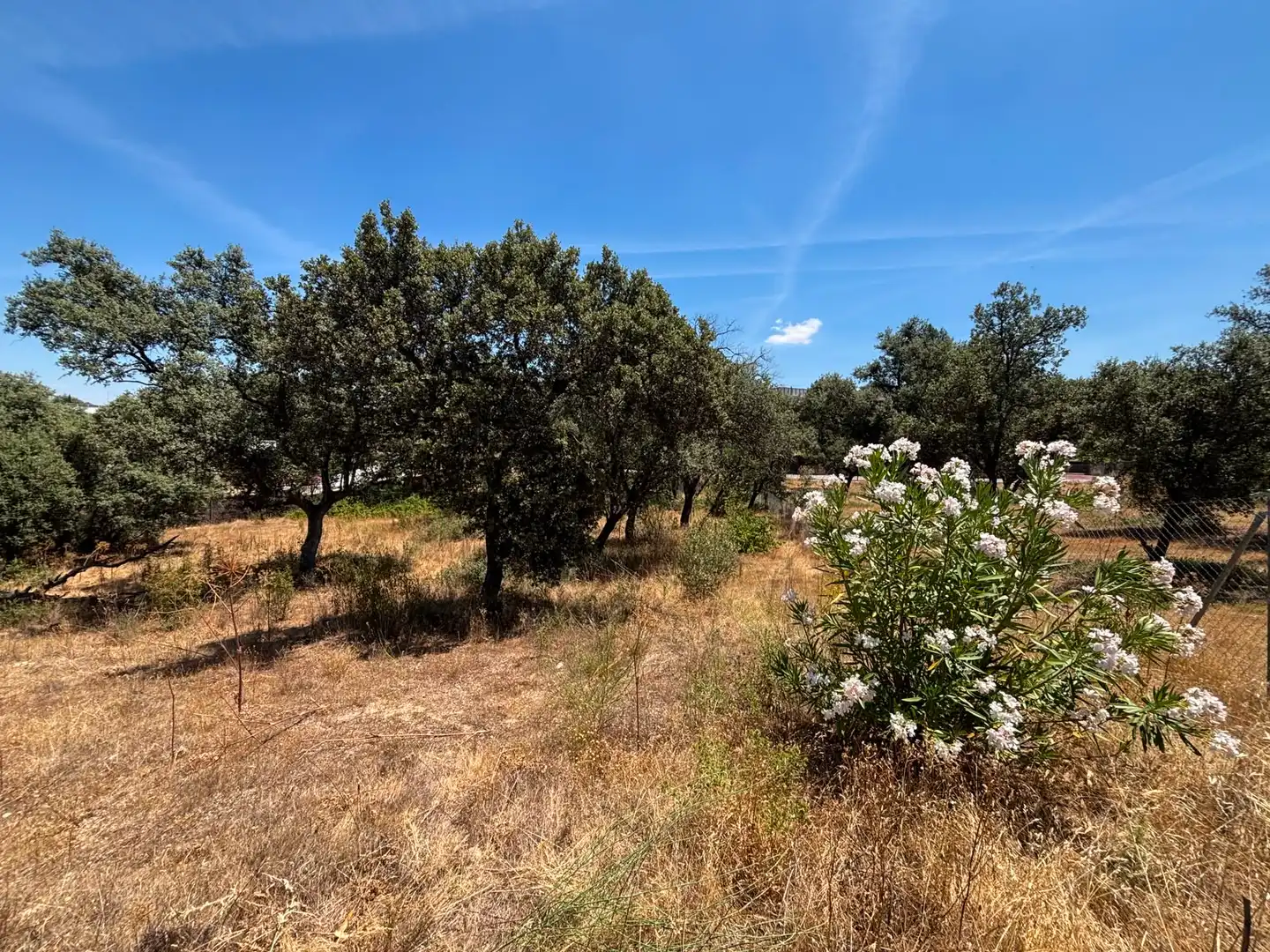 Residential land for sale in Paseo del Perú, imagen 3