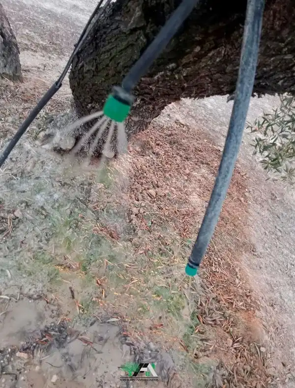 Jardín de Terreno en venta en Torrubia