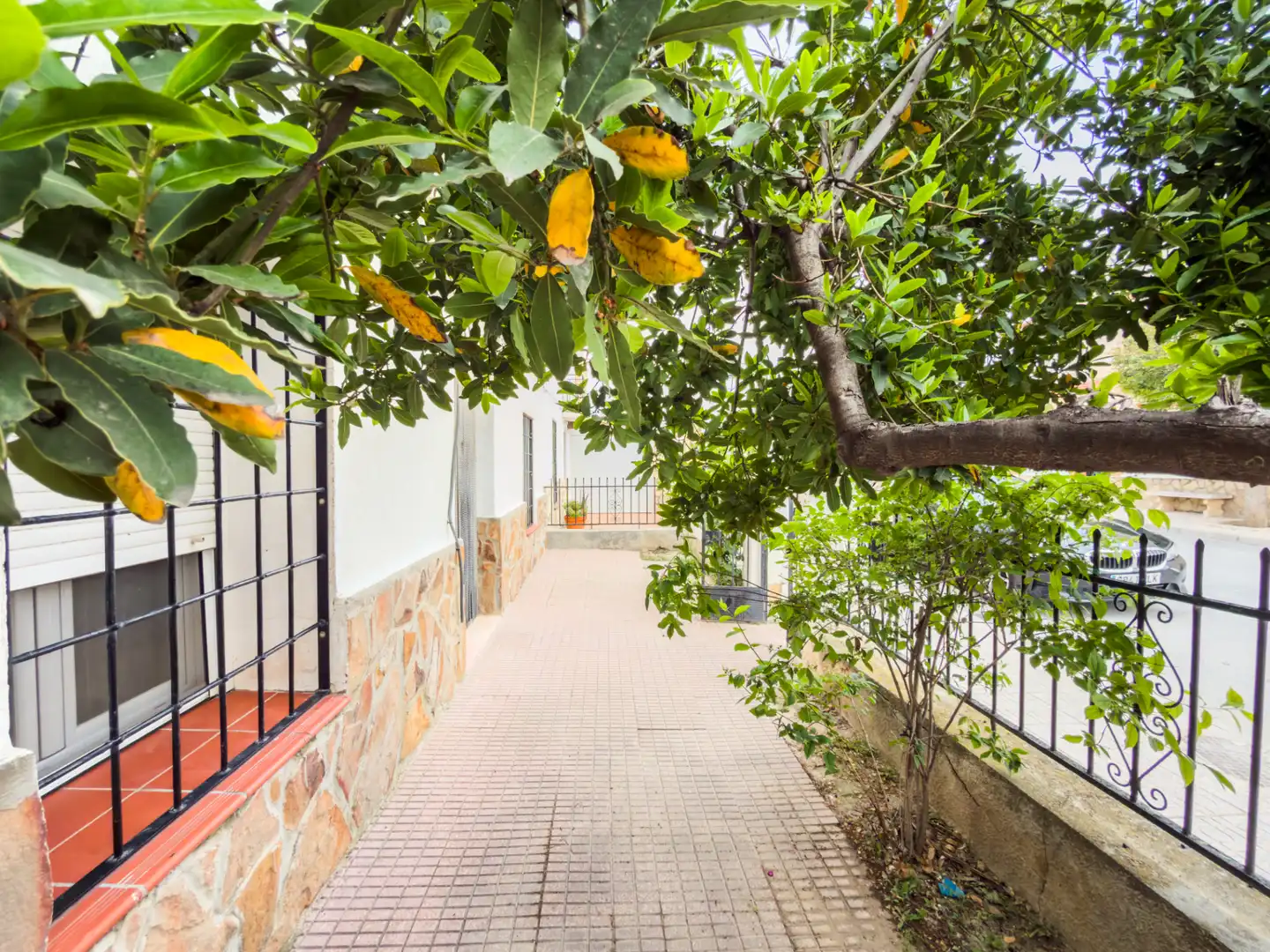 Vista exterior de Casa o xalet en venda en Cortes de Baza amb Jardí privat, Terrassa i Moblat