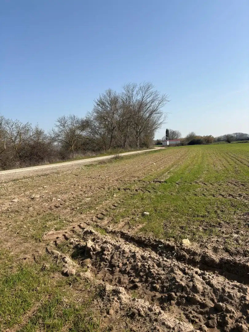 Rustikales Grundstück zum Verkauf in Agoncillo, imagen 4