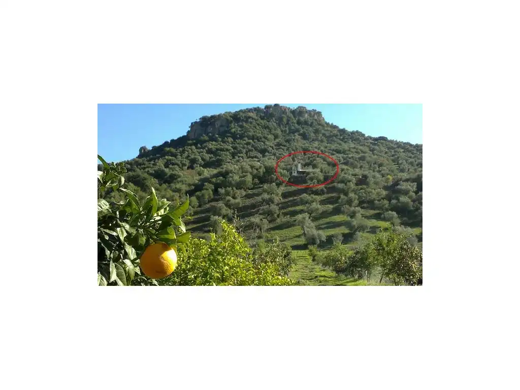 Casa o xalet en venda en Puerto Serrano