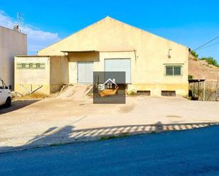 Exterior view of Industrial buildings for sale in Villanueva del Río Segura