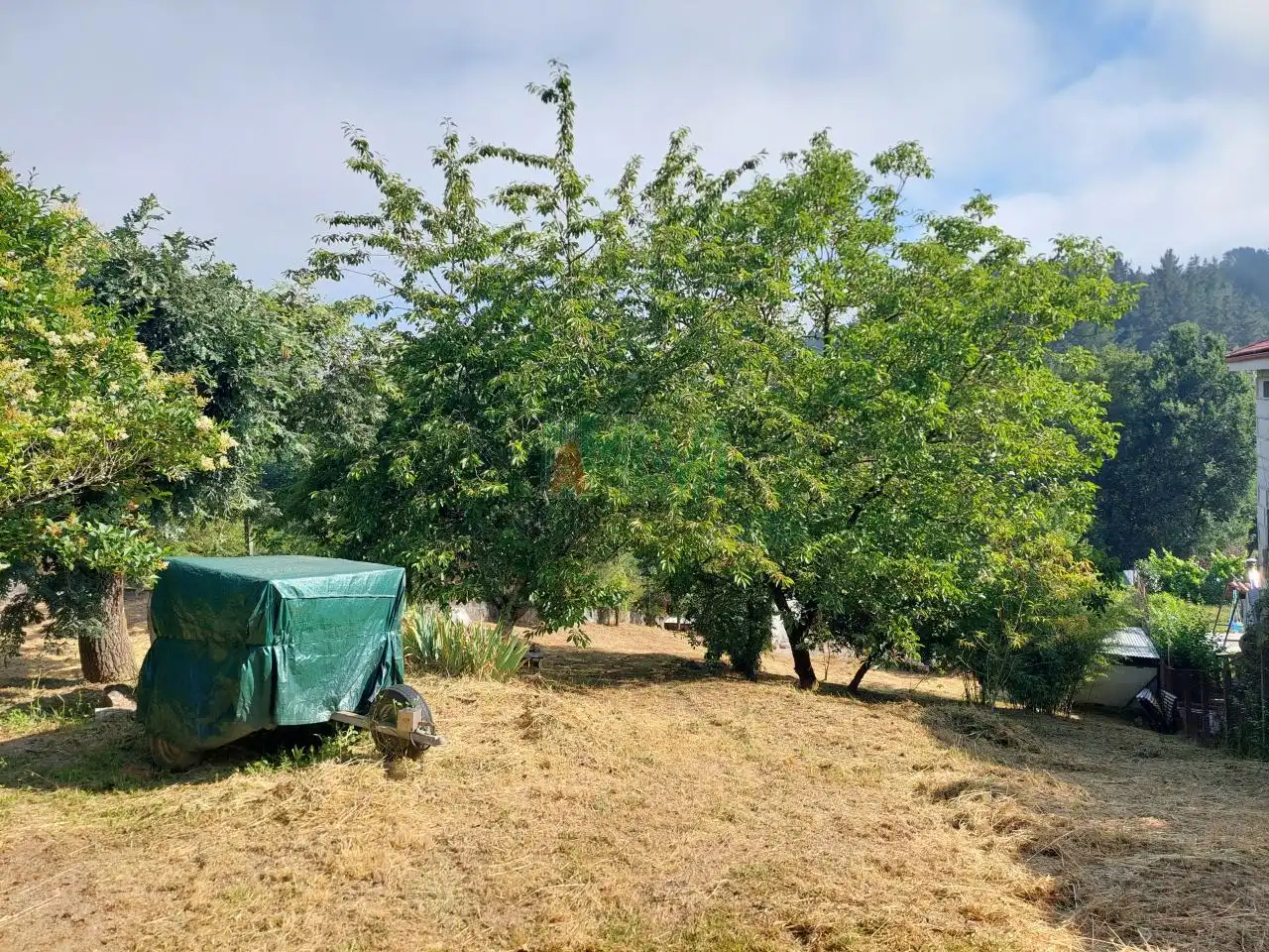 Terreni e lotti in vendita a O Pereiro de Aguiar