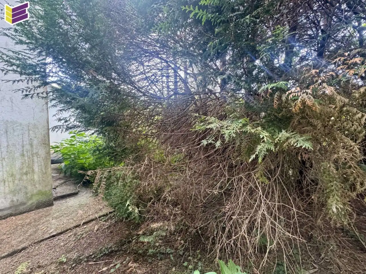 Casa amb jardí en venda a Camino Maceiras 18, imagen 46