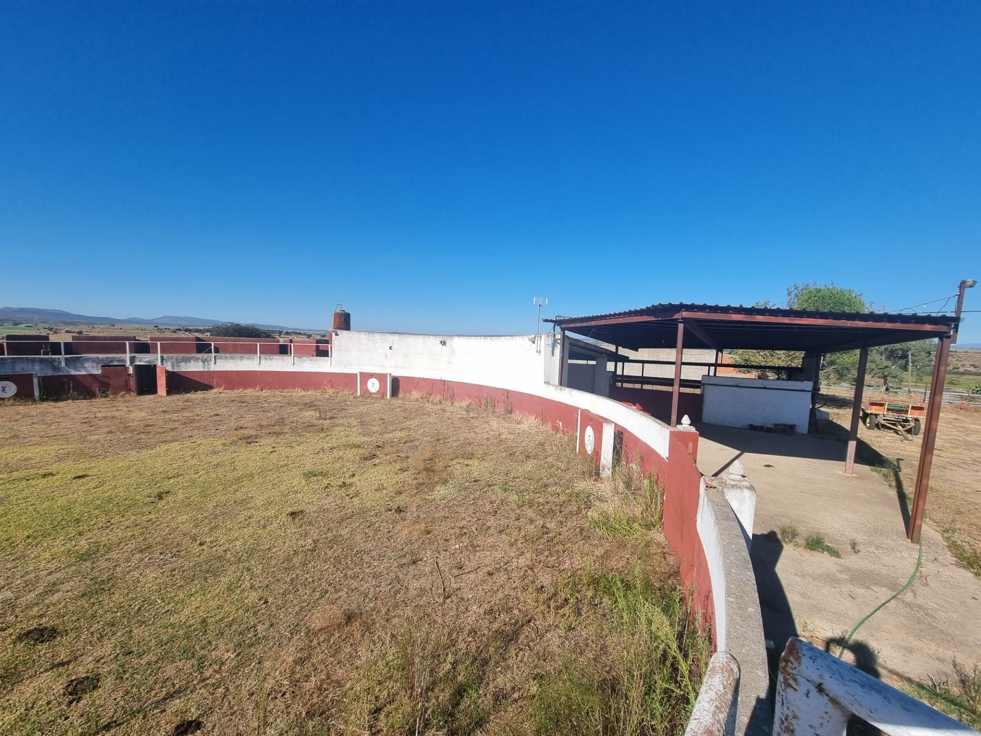 Land for sale in Riolobos