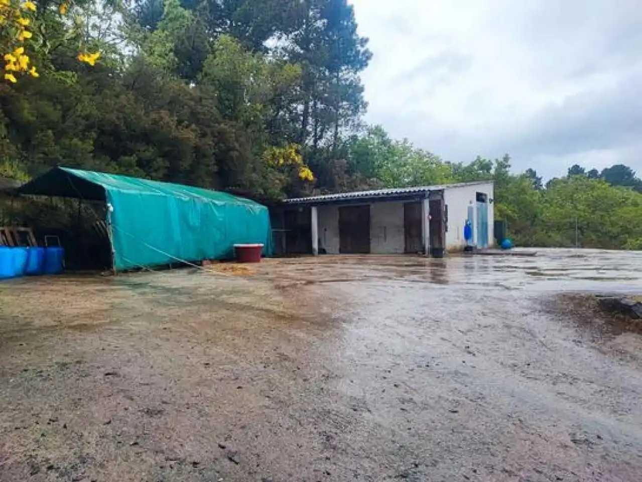 Casa o xalet en venda a Barbadás