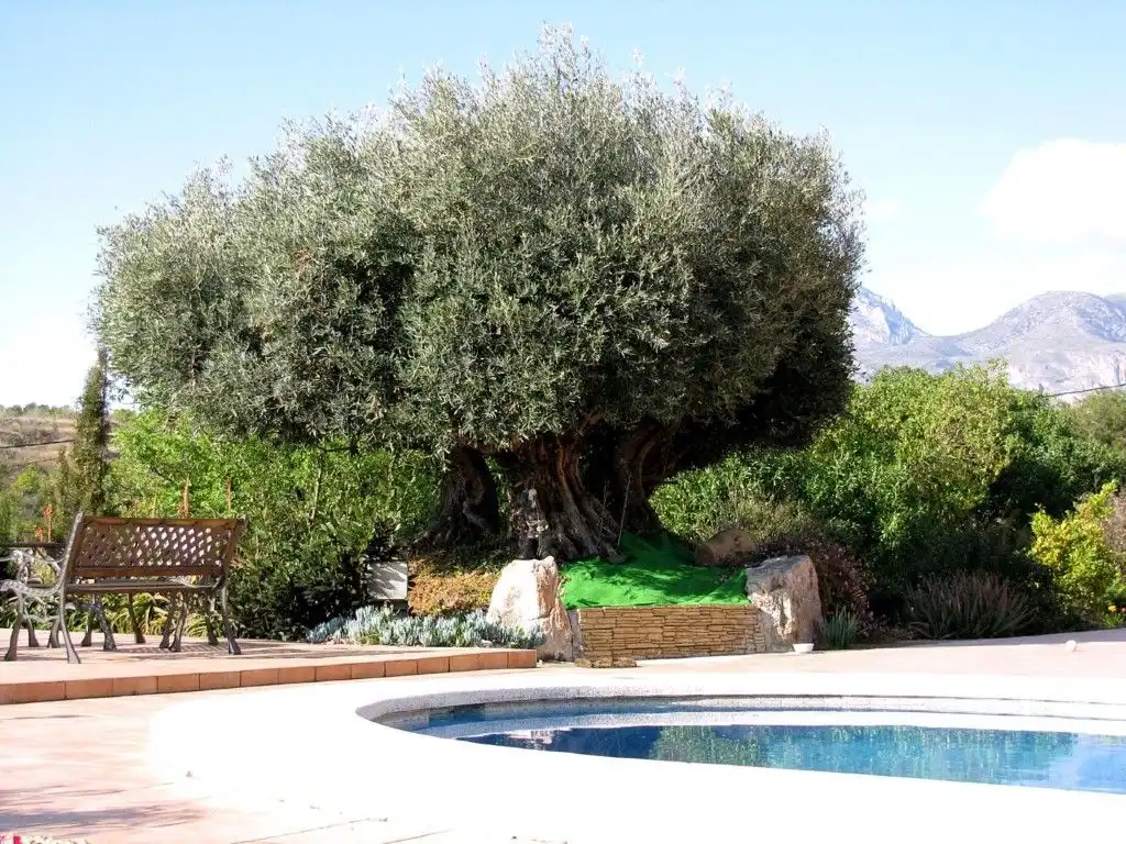 Casa con piscina en venta en Altea ciudad, imagen 35