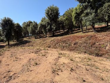 Terreno residencial en venta en Turó de Monfort 90