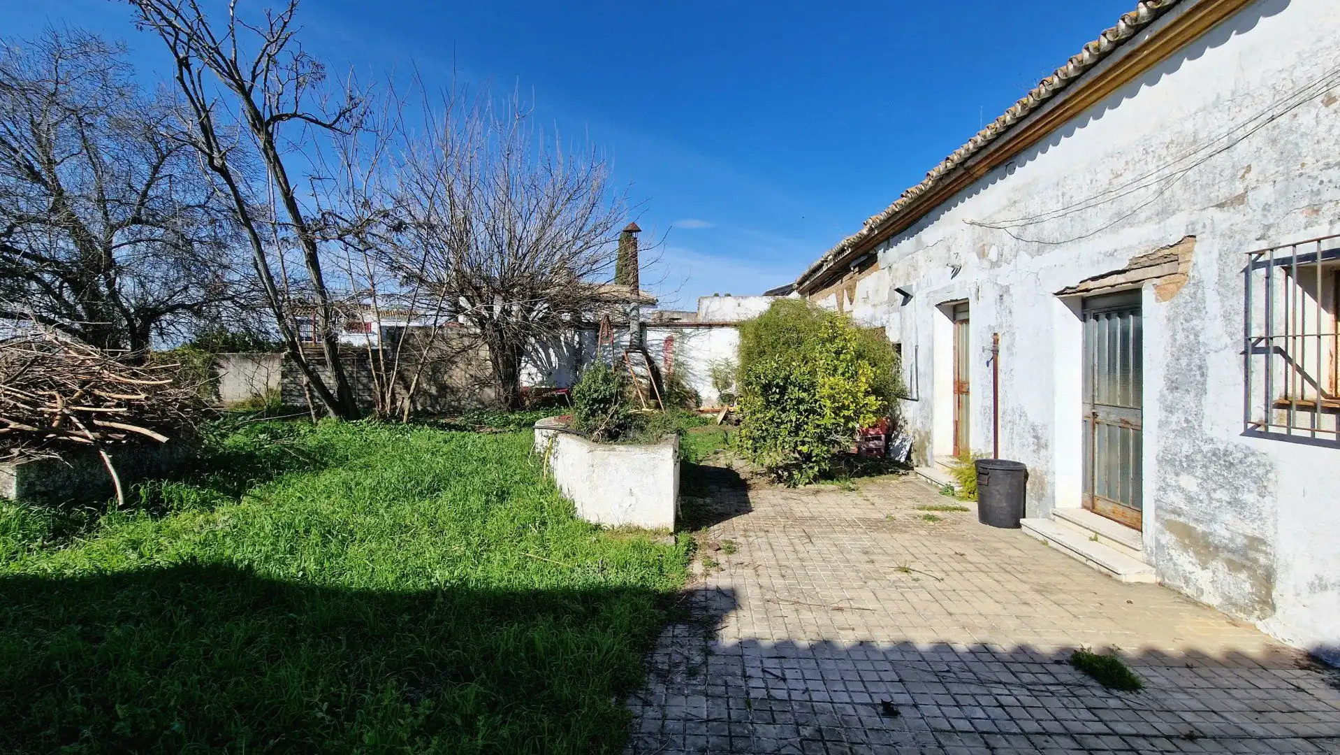 Vista exterior de Finca rústica en venta en Valencina de la Concepción