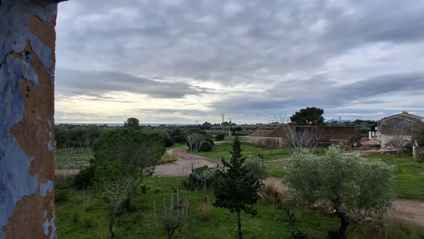 Jardín de Finca rústica en venta en L'Ampolla
